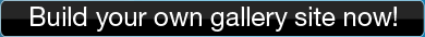 Build Your Gallery Now
